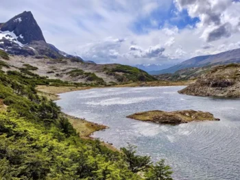 Dientes de Navarino